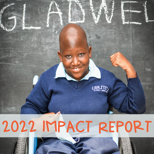 2022 Impact Report