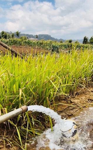 THE WATER PROJECT 2023